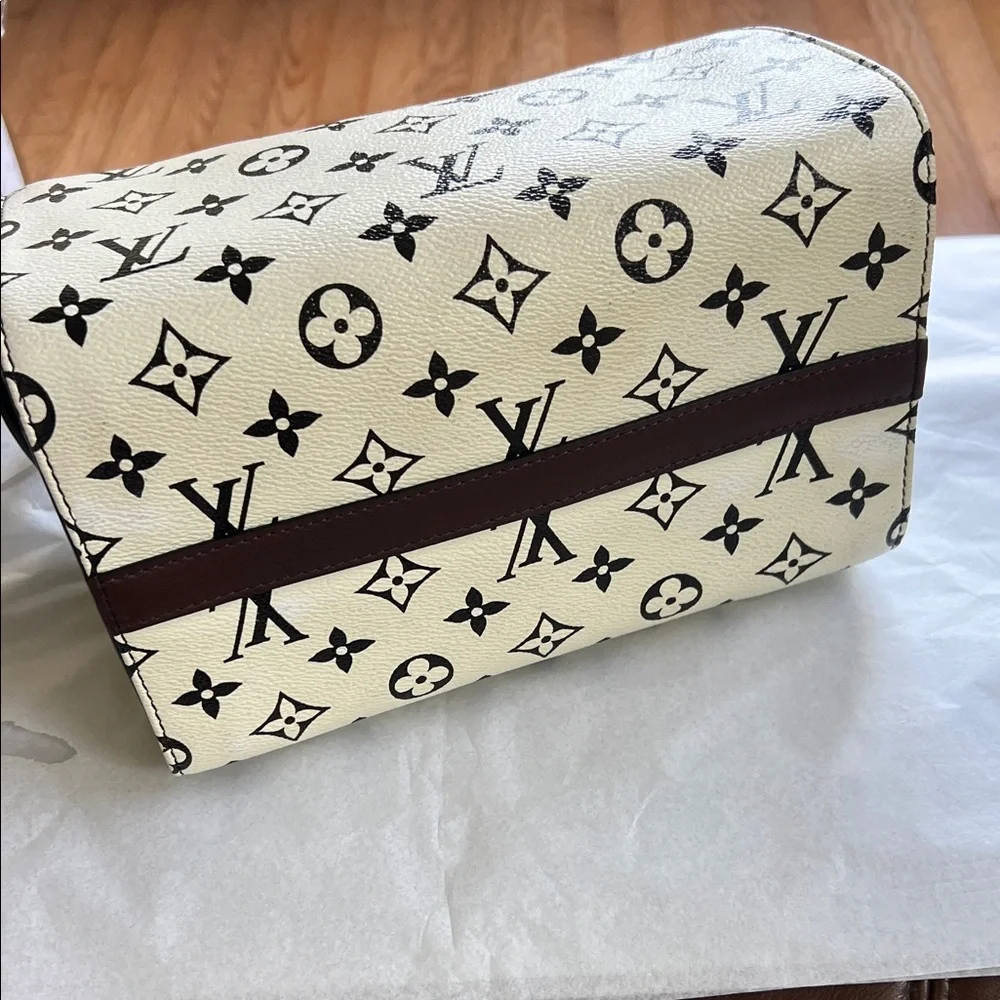 Louis Vuitton Limited Edition Cream and Brown Monogram Crossbody Bag - Picture 5 of 13